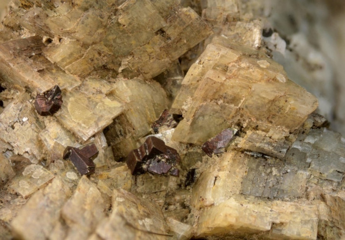 Image 10000000000002C2000001EB2A8F934305C29DEA.jpg