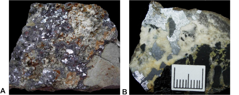 Image 100000000000031B0000013EAA610B22070108E8.jpg