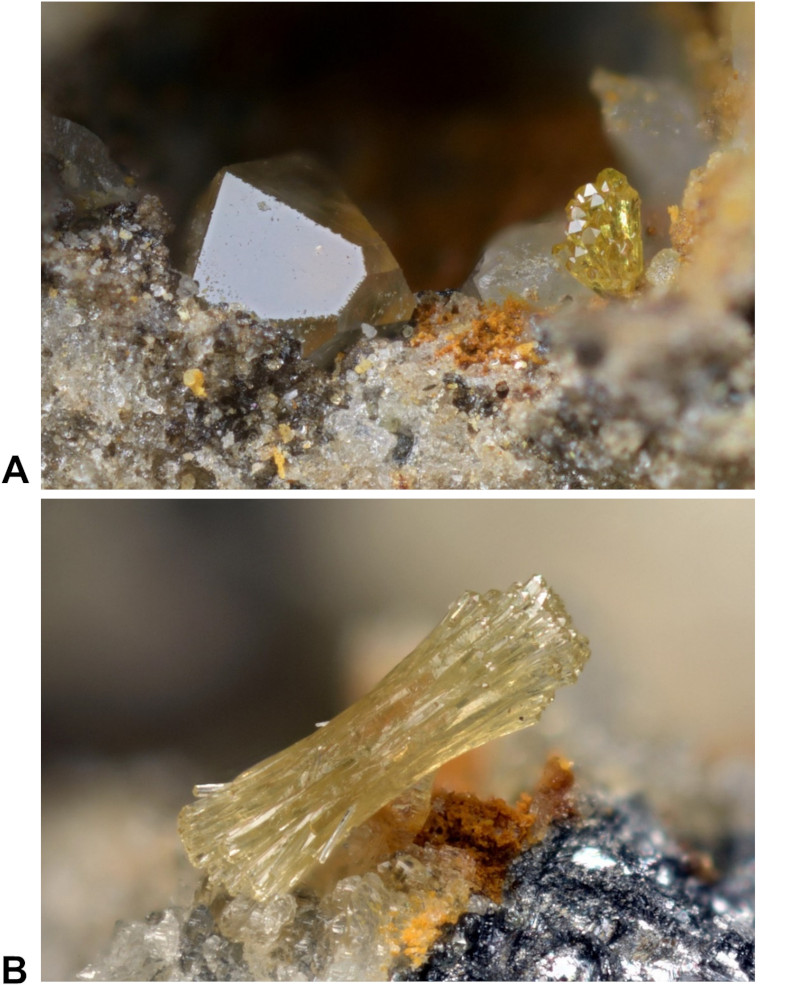 Image 100000000000031B000003D9F701D226F76C4F16.jpg