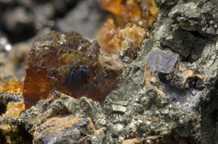 Image 10000000000002E1000001E78251A75435D1BEF1.jpg