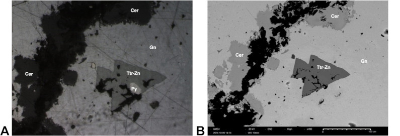 Image 100000000000031B0000010F39ED3898D09D5A42.jpg