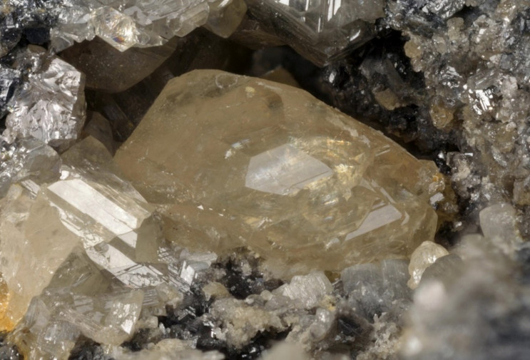 Image 10000000000002E7000001F95C64846C99089535.jpg