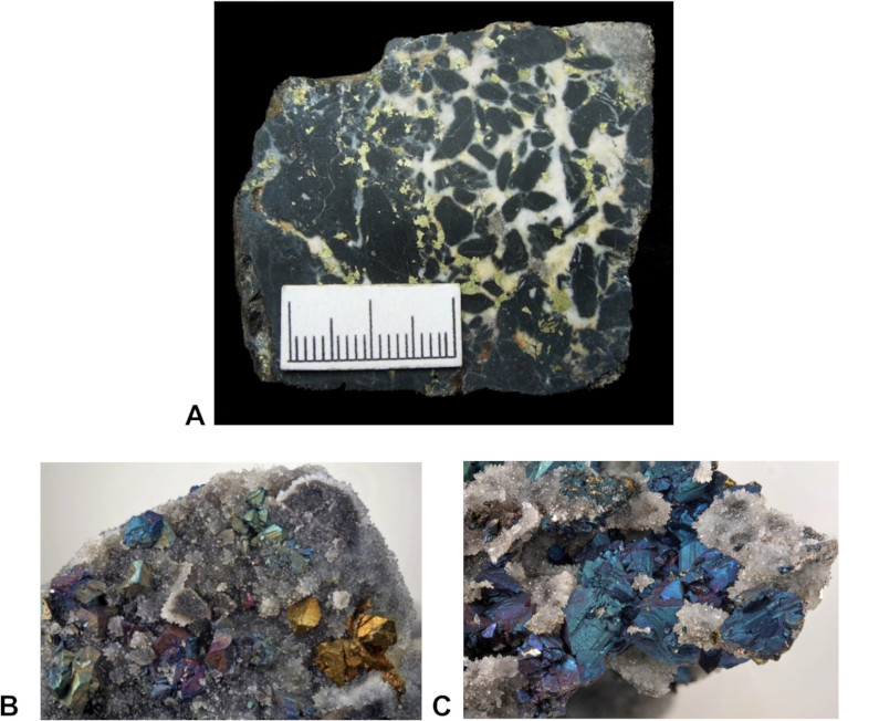 Image 100000000000031B0000028CF71E70645CC057B5.jpg