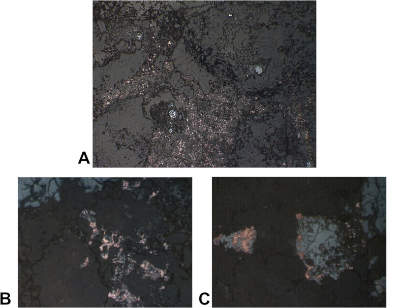 Image 100000000000031B0000025FC6C0D7FE1B95361D.jpg