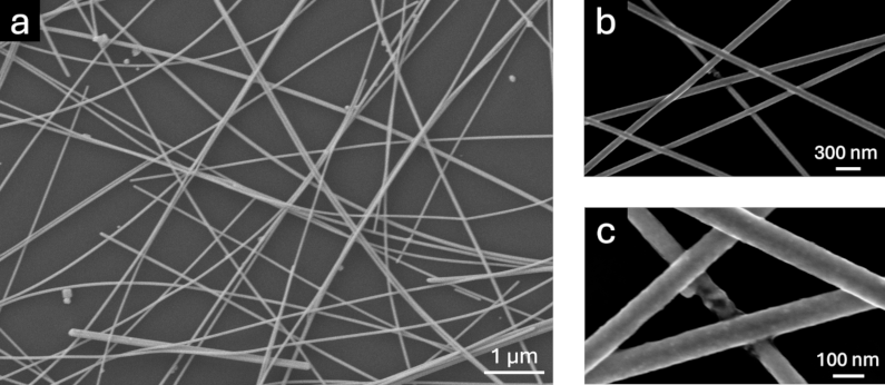 Image 100000000000031B0000015A4982ED32223B830E.png