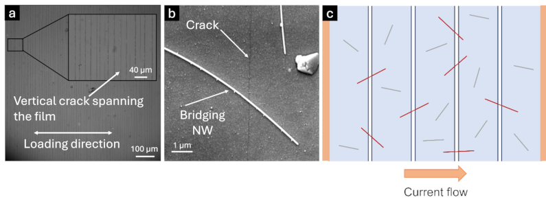 Image 100000000000031B0000012CE71E28BB3354E700.png