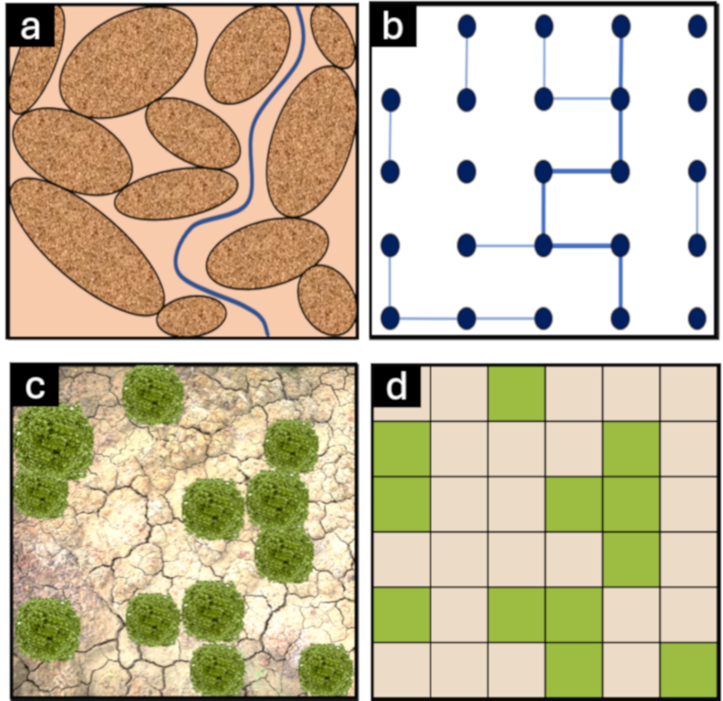 Image 100000000000031B00000303CBE62882AFEDB8A8.png