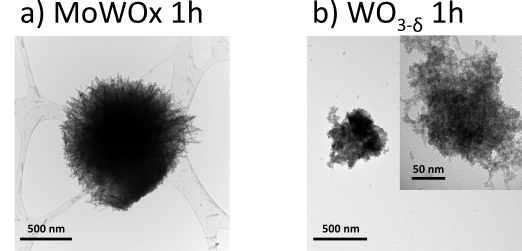 Image 100002010000020A000000FB270CD11418EBA394.png