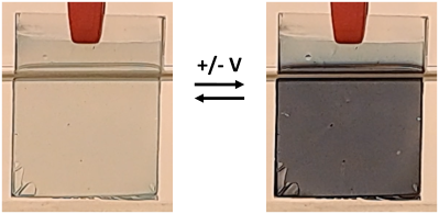 Image 100002010000018F000000C37292C39A1DA5530B.png