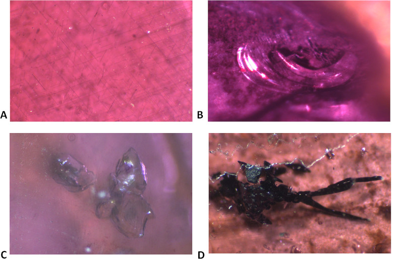 Image 100000000000031B00000202181F6D5AE6A3652C.jpg