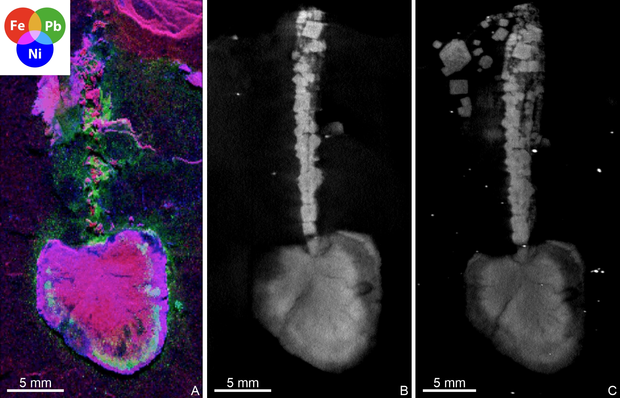 Image 10000000000007CA000004FFC4BBDF98.jpg