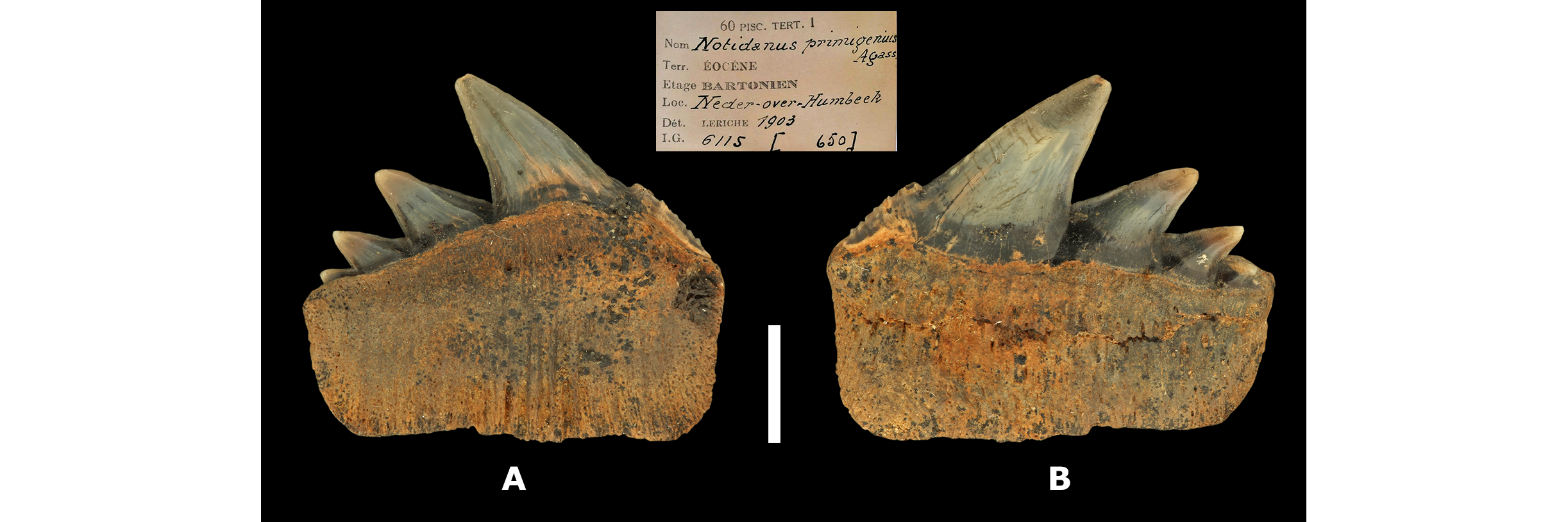 Image 100000000000098D0000032E08C73659.png