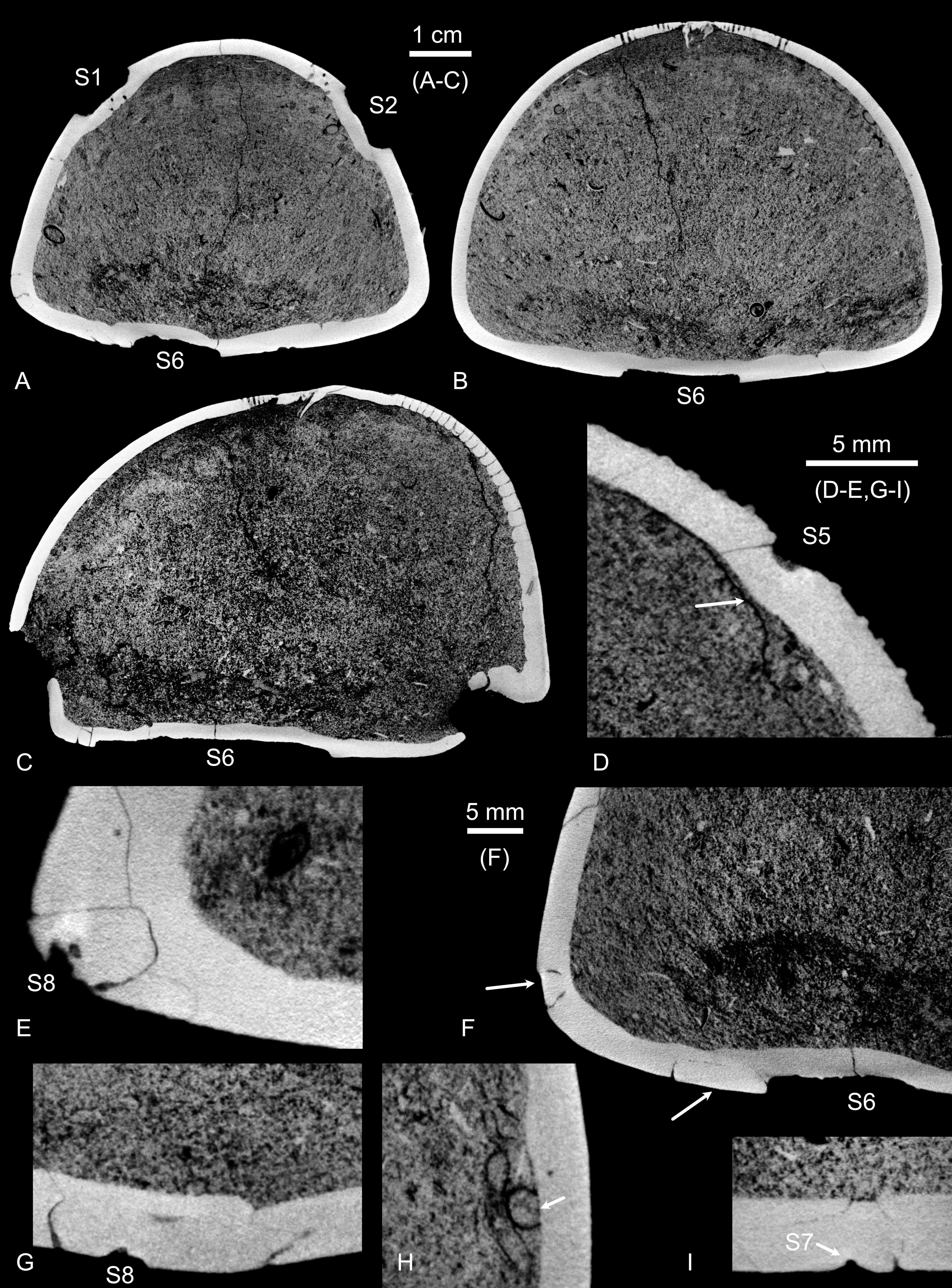 Image 1000000000000FB00000153AF76207B9.jpg