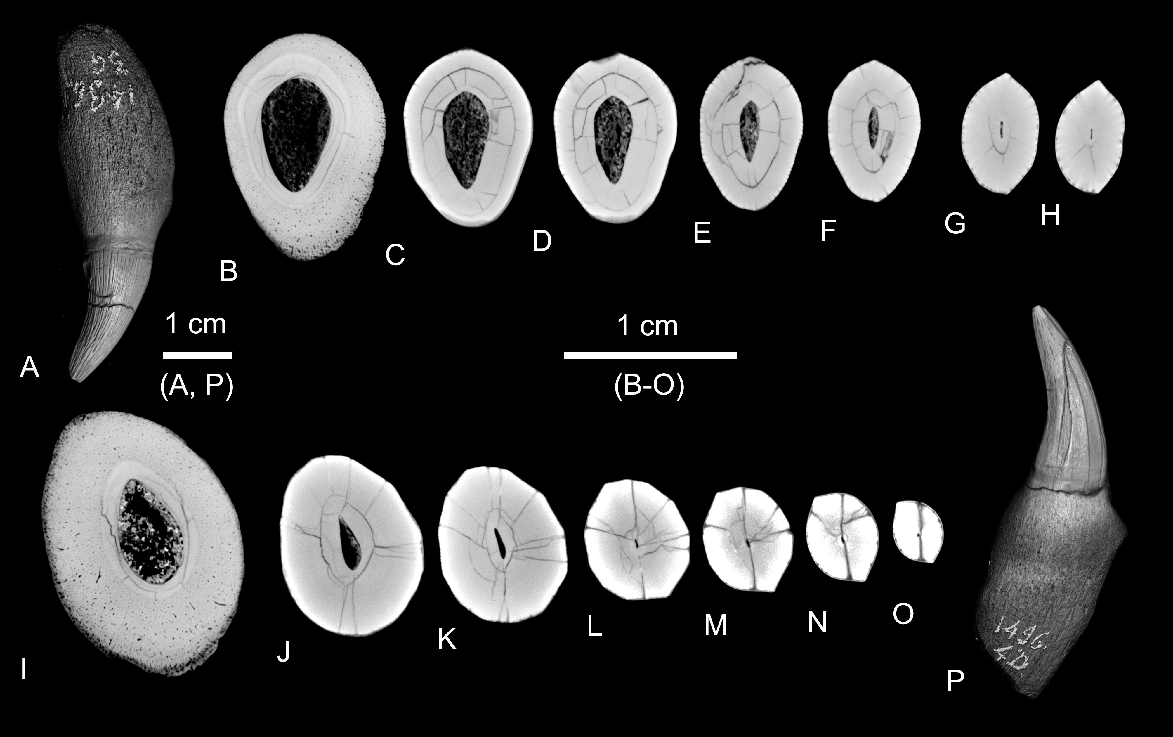 Image 1000000000000FB0000009DBDABC5B96.jpg