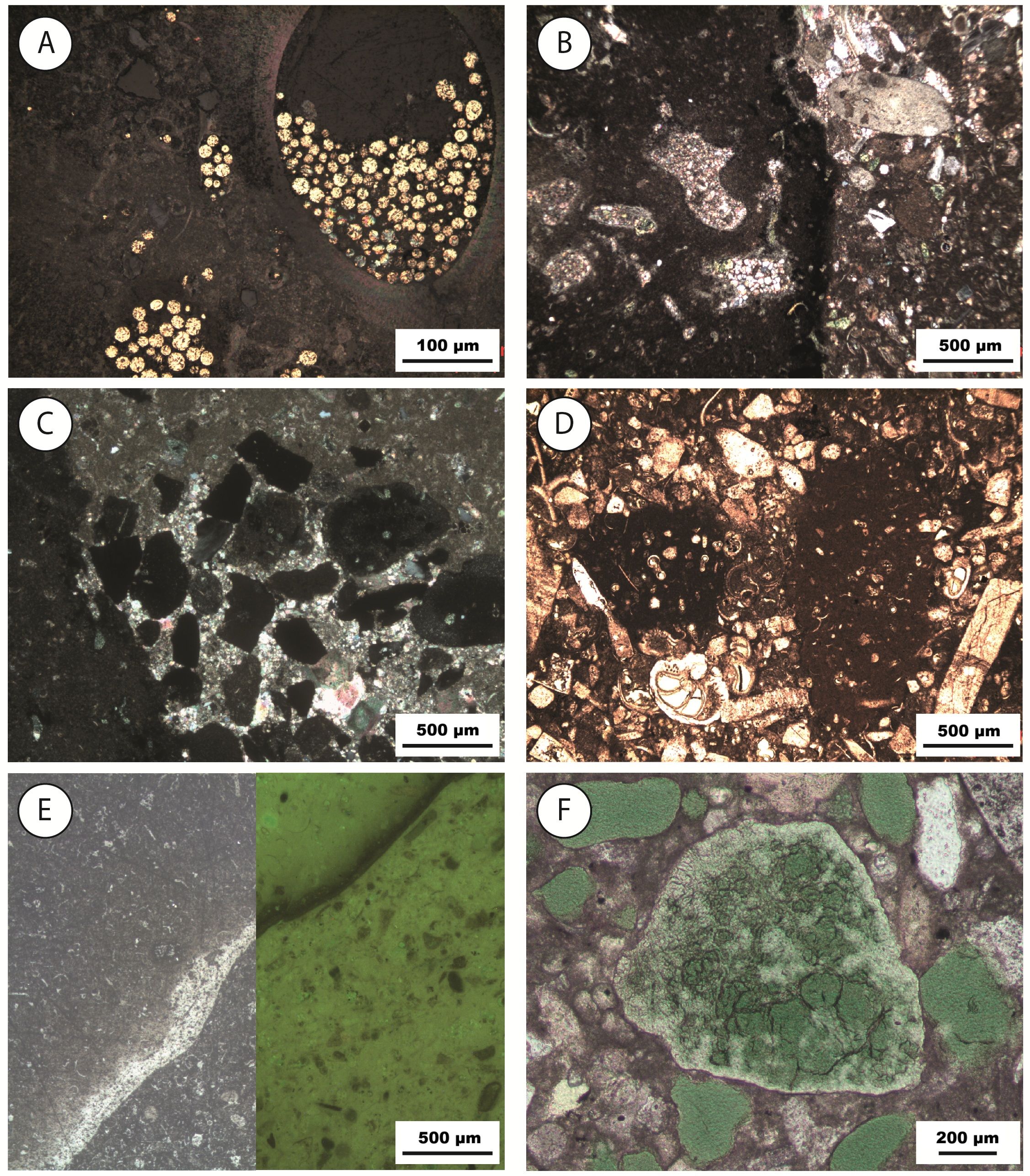 Image 10000000000008CD00000A0C06AE5907.jpg