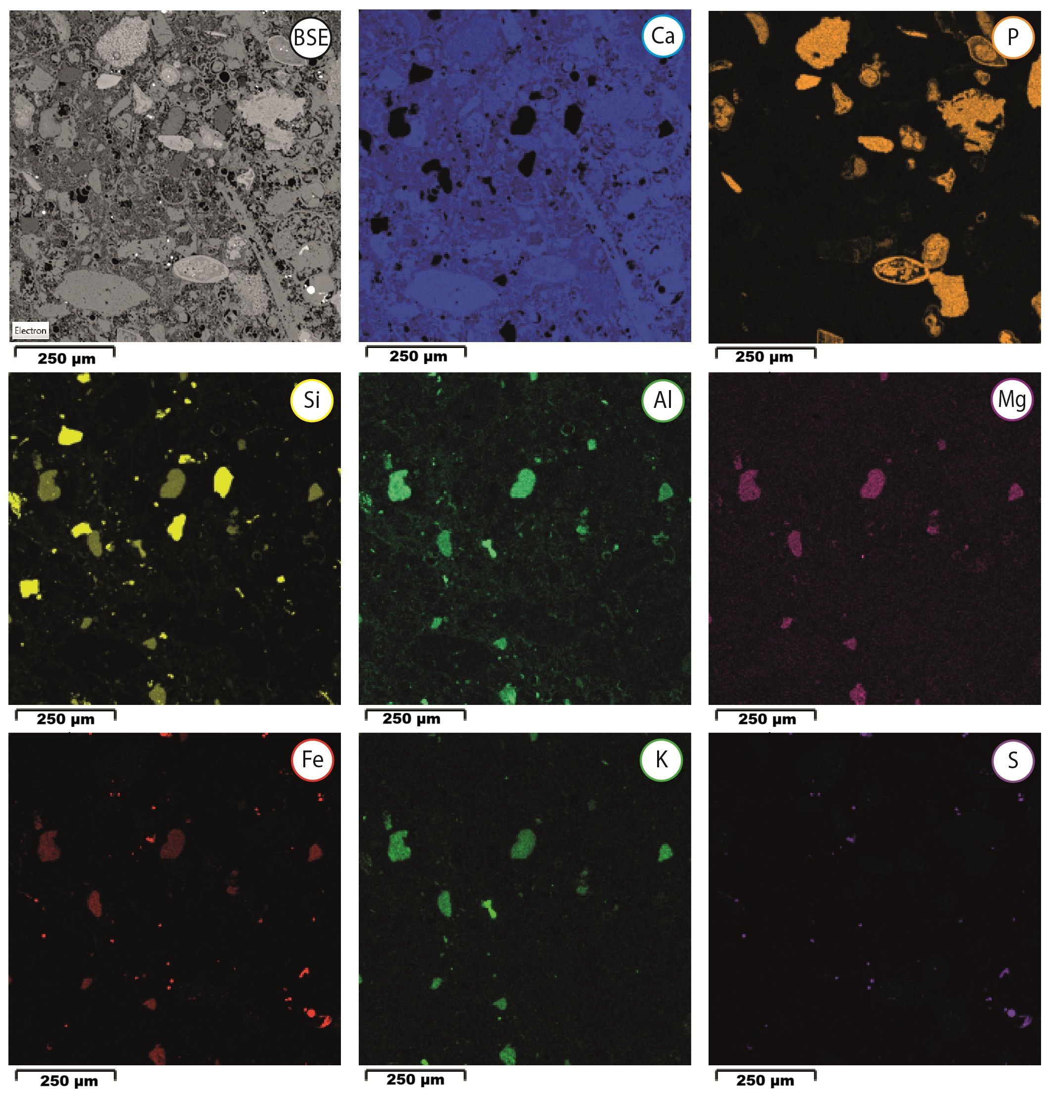 Image 1000000000000844000008AA7FBCA7B4.jpg