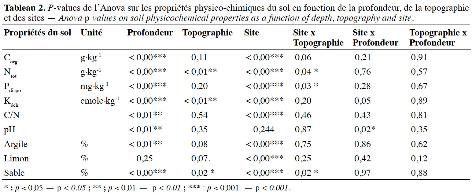 Image 10000000000006080000027E97B1DEED84668CA8.jpg