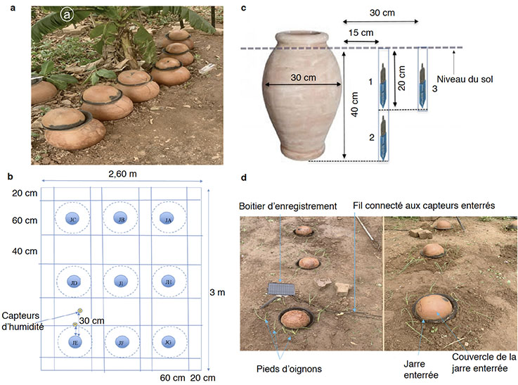 Image 10000000000002E10000022354411C436698B461.jpg