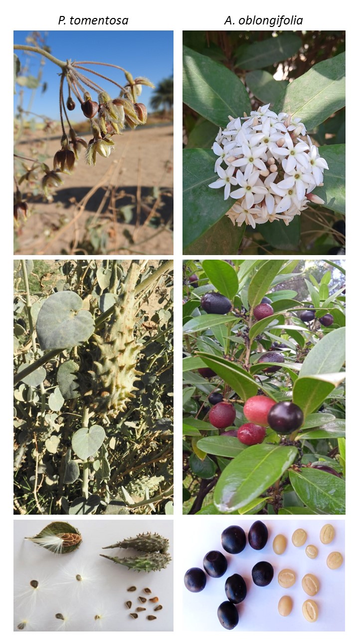 Image 10000000000002D000000500736BD693BC97664D.jpg