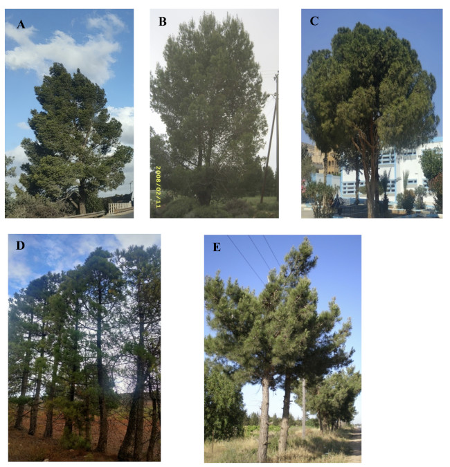 Image 100000000000028A000002A308AB40118DC7DFF0.jpg