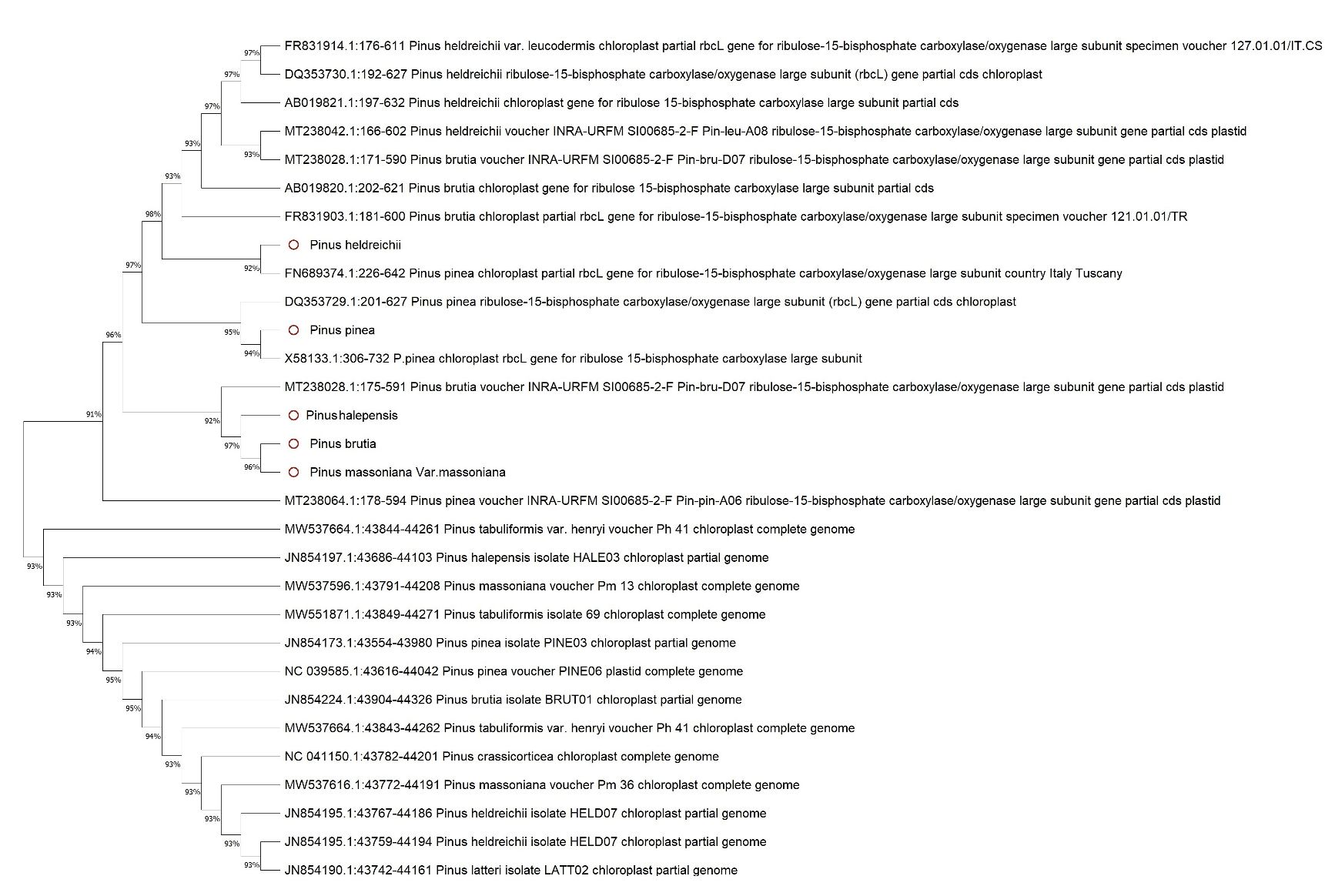 Image 10000001000006C60000048CA7B451A78E04D5F9.png