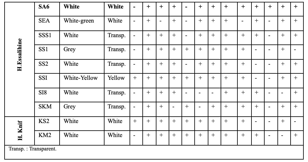 Image 10000000000003F0000002145CCF0D25A38258C6.jpg