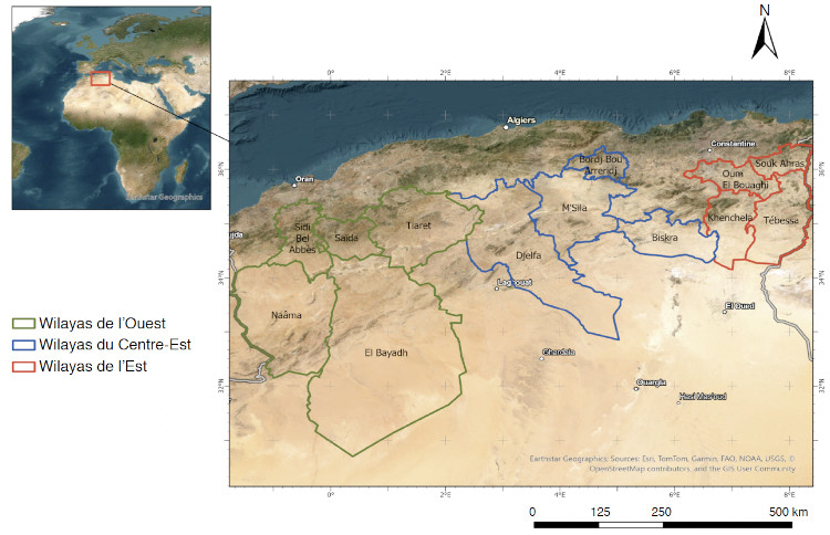 Image 10000000000002EE000001E47C4B3C37EB92B6D4.jpg