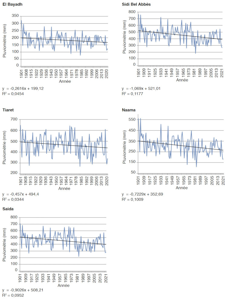 Image 10000000000002EE000003DCC6037E5265EC2C6F.jpg
