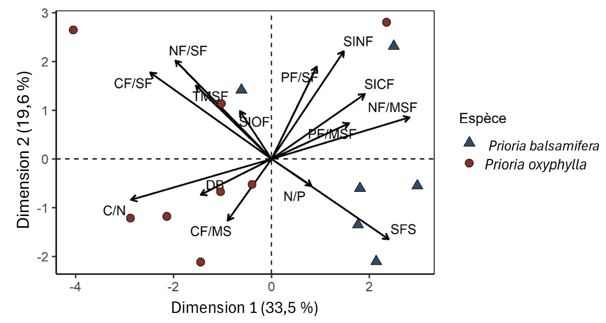 Image 10000001000004AE00000280E3CA5B62AFFE41CD.png