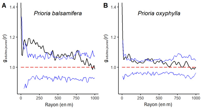 Image 10000000000002BC0000017C8C378992D8737F13.jpg
