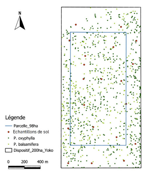 Image 10000000000001F400000250FC255C72DDFE3C73.jpg