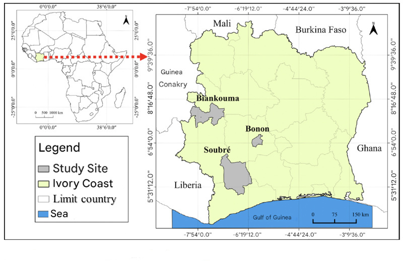 Image 10000000000003200000020E1A1F6DAE5EF3BB9D.jpg