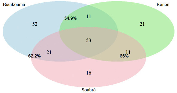 Image 100000000000024F000001370F60547D3F6327AA.png