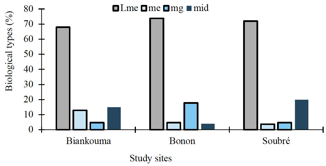 Image 10000000000004650000023E8F62A4817A0C02E8.jpg