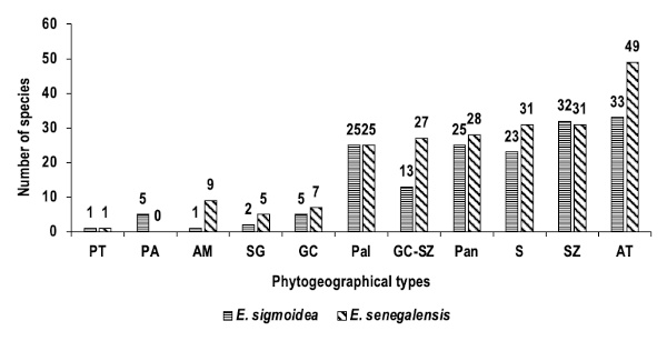 Image 1000000000000258000001330DC509702DBAB7C5.jpg