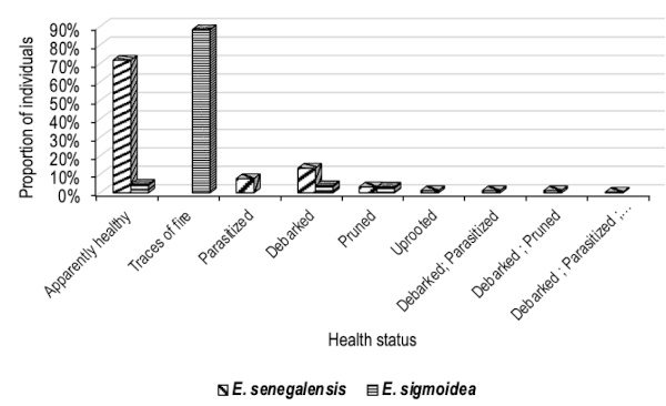Image 10000000000002580000016E18CA1135D6415532.jpg