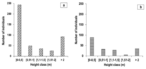 Image 10000000000002580000011C2CBBEF19391A2E72.jpg