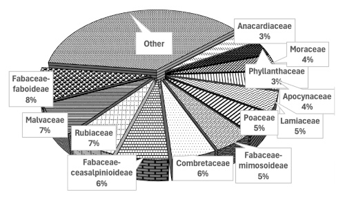 Image 10000000000001F40000011EF06D73A678C7AC6E.jpg