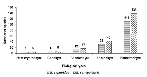 Image 10000000000001F4000001079CA39FA75B9224B8.jpg
