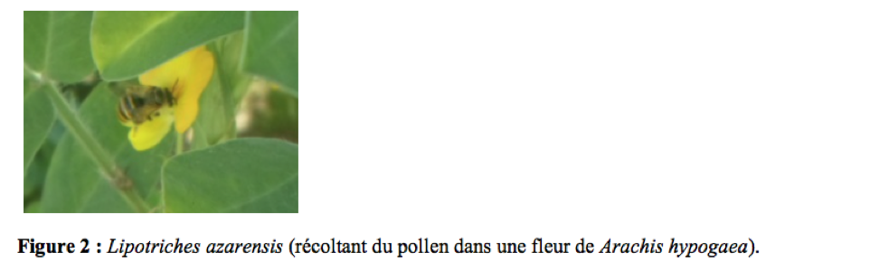 img-4.png