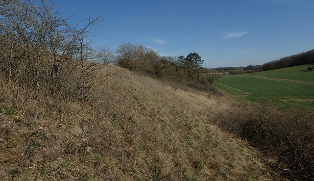 Image 100000000000026700000163C659E2F6A82EB757.jpg