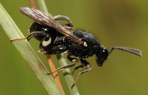 Image 10000000000001D90000012EAB82863F6F199108.jpg