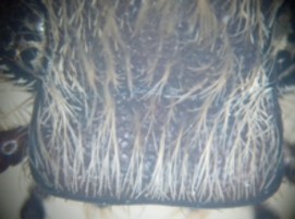 Image 100000000000010F000000C9F01FDD92B40D3175.jpg