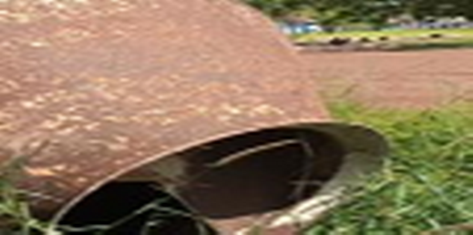 Image 100000010000020700000102FD86E47F898245E2.png